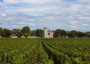 Organiser une virée itinérante sur les routes des vins et des châteaux.