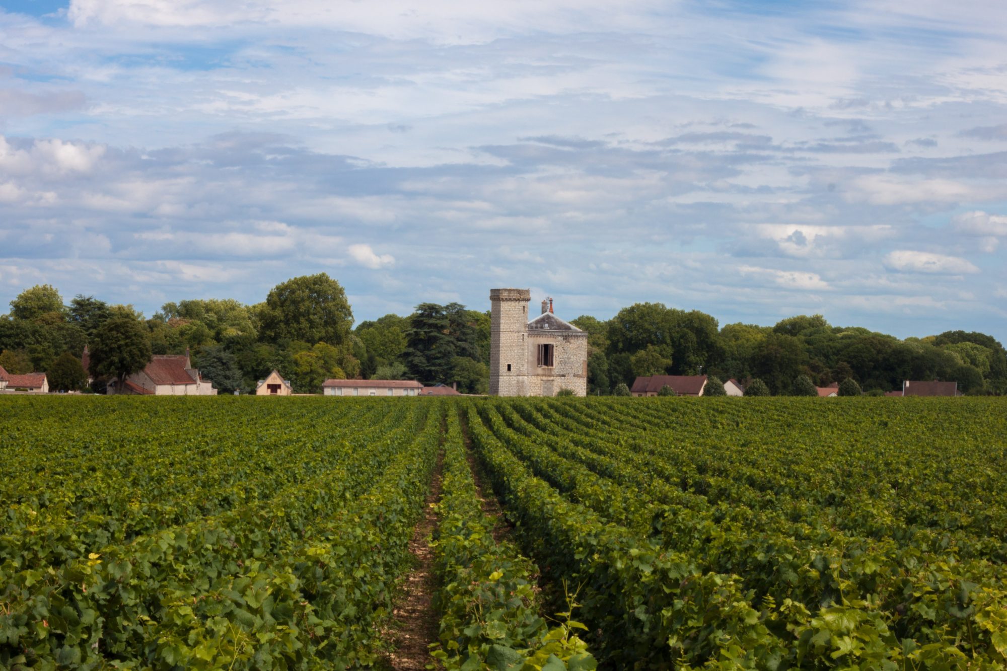 road trip route des vins