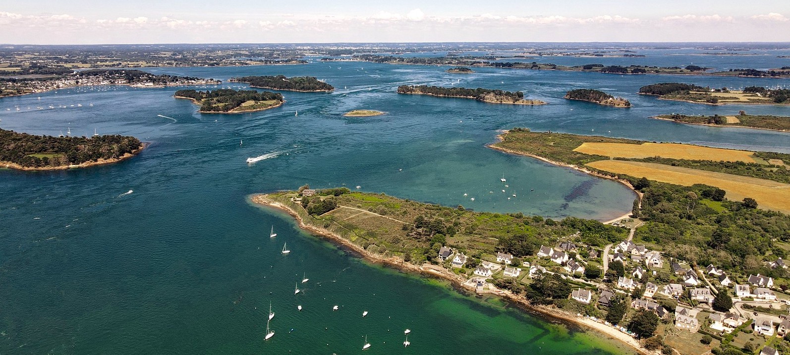 Observer les oiseaux du Golfe du Morbihan